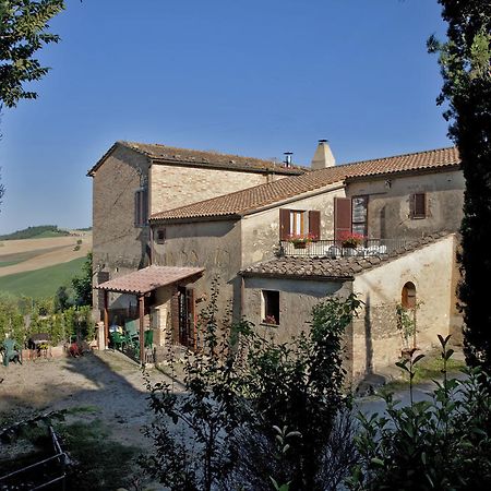 Agriturismo Podere Olivello In Val D'Orcia Montalcino Kültér fotó