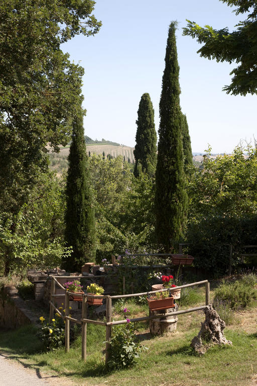 Agriturismo Podere Olivello In Val D'Orcia Montalcino Kültér fotó