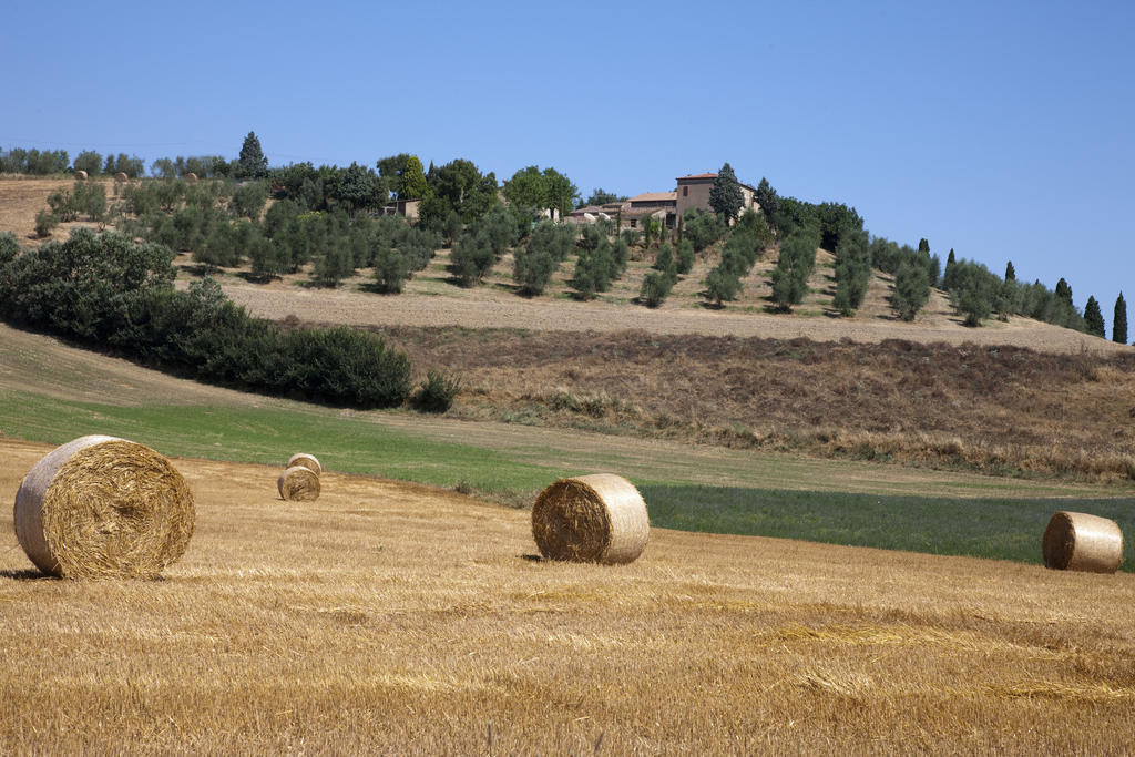 Agriturismo Podere Olivello In Val D'Orcia Montalcino Kültér fotó