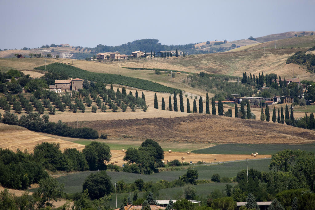Agriturismo Podere Olivello In Val D'Orcia Montalcino Kültér fotó