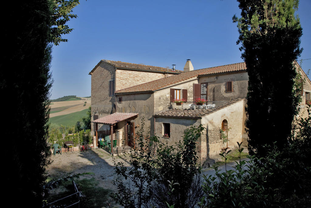 Agriturismo Podere Olivello In Val D'Orcia Montalcino Kültér fotó
